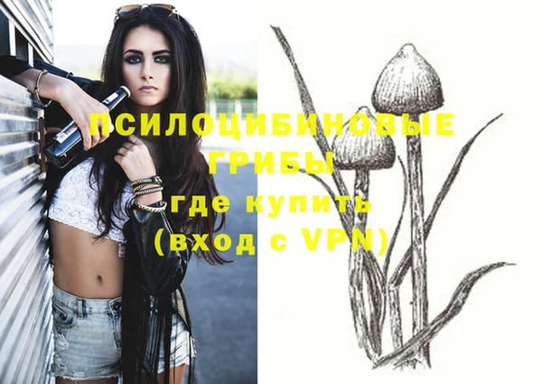 метадон Алексин