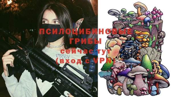 2c-b Алзамай